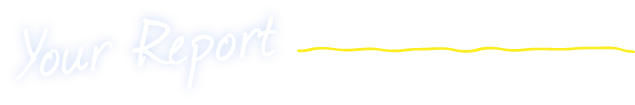 your_report